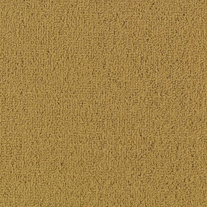 Color Accents Bl - Brasserie