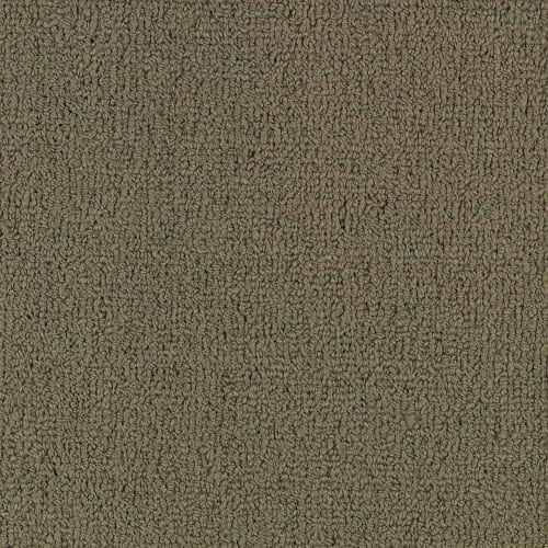 Color Accents Bl - Portabella