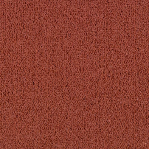 Color Accents Bl - Sundried