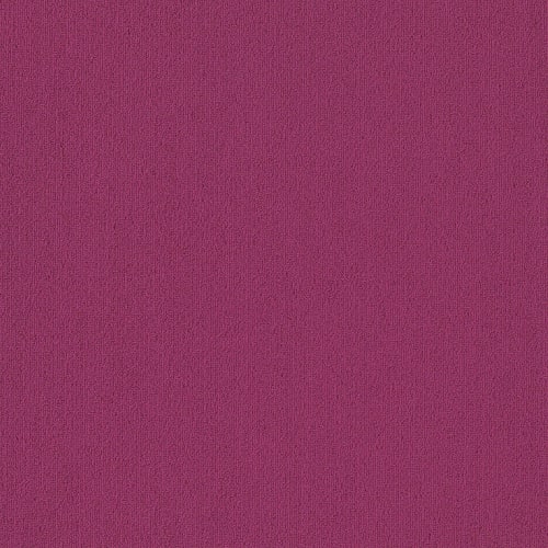 Color Accents Bl - Calypso
