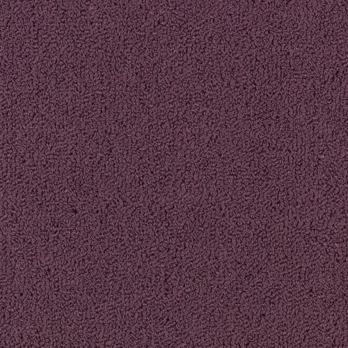Color Accents Bl - Purple Heart
