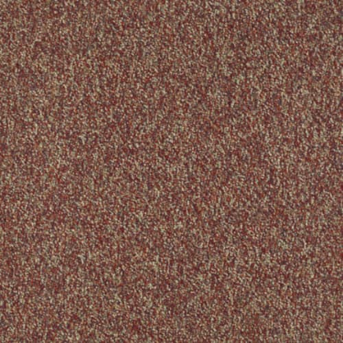Franchise Ii 28 - Raisinberry
