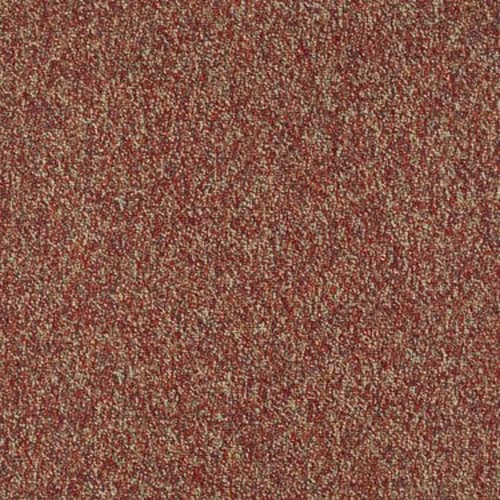 Franchise Ii 26 - Raisinberry