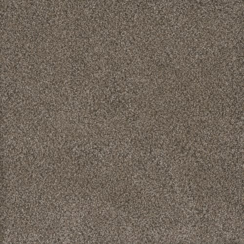 Monte Carlo I - Fawn
