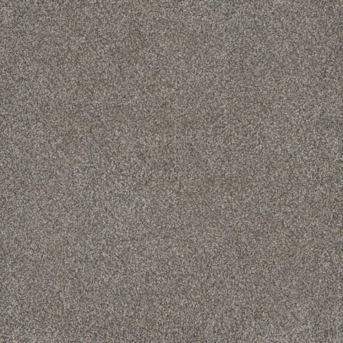 Monte Carlo I - Dogwood