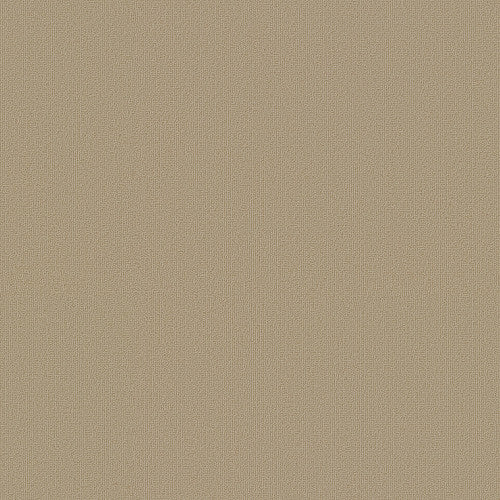 Color Accents - Cornsilk