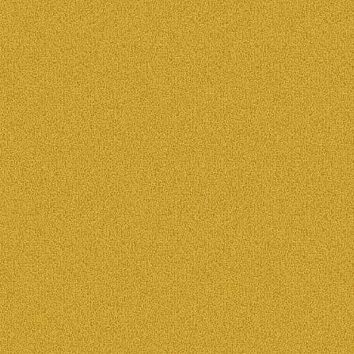 Color Accents - Citrus