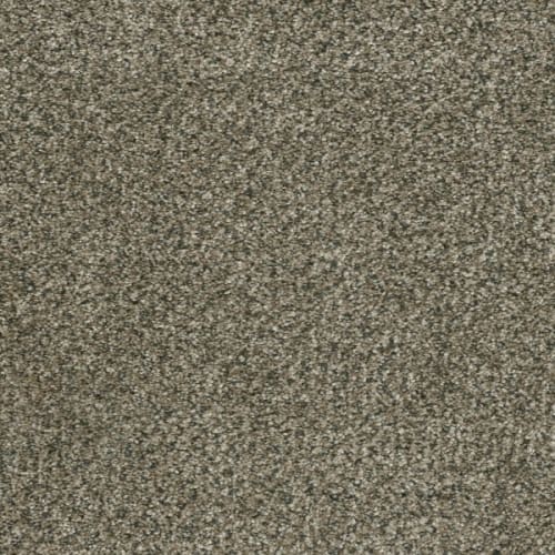 Brazen I - Feather Soft