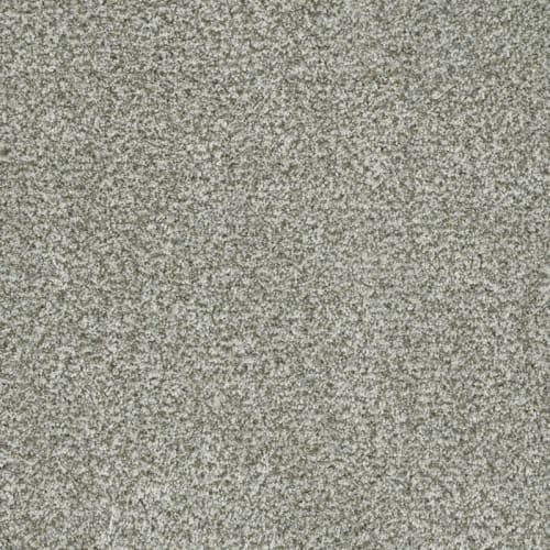 Brazen Ii - Purity