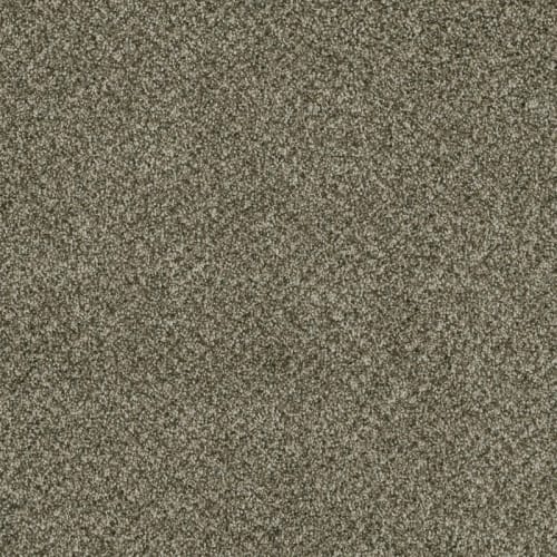 Brazen Ii - Clove