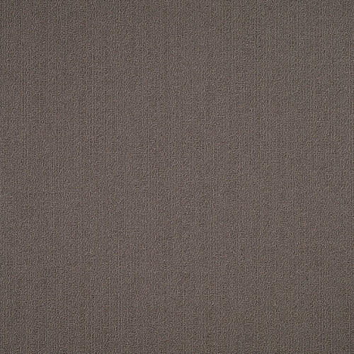 Color Accents - Taupe