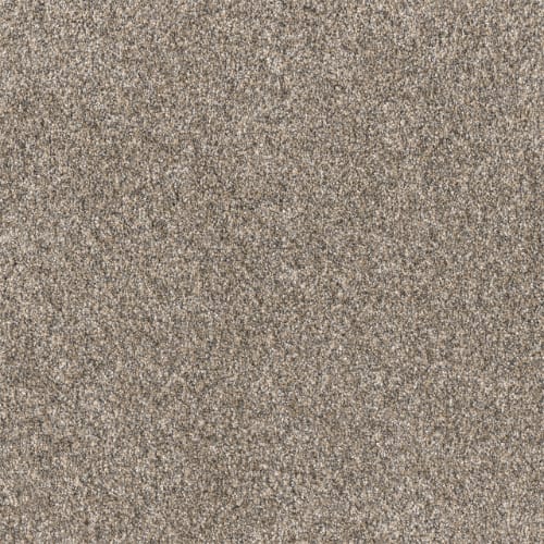 Affinity Ii - Spice
