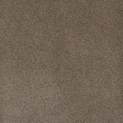 Serene I - Shellbark