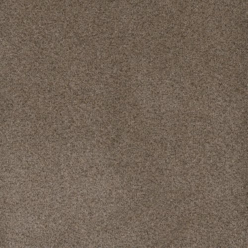 Serene Iii - Shellbark