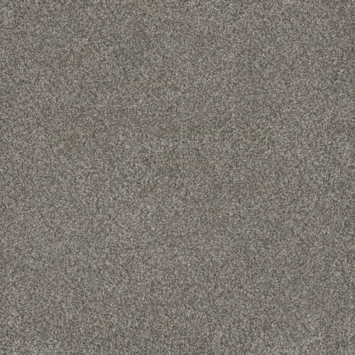 Monte Carlo Ii - Dogwood