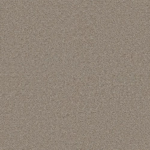 Exceptional Ii - Cameo