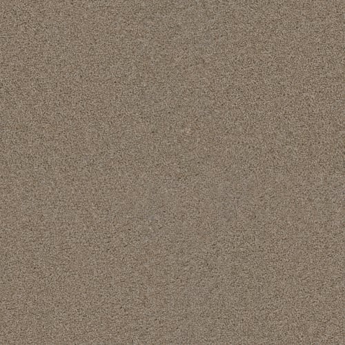 Exceptional Ii - Iced Coffee