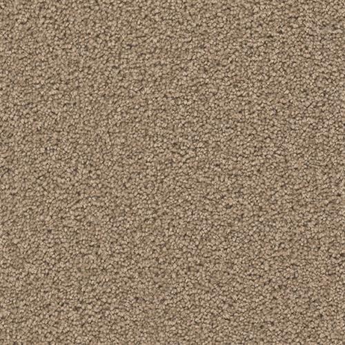 Exceptional Ii - Sable