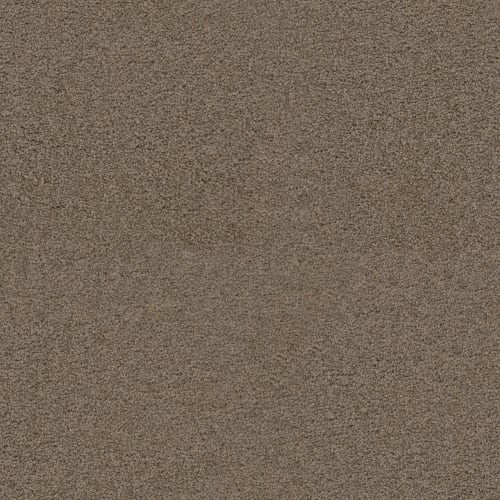 Exceptional Ii - Tigris