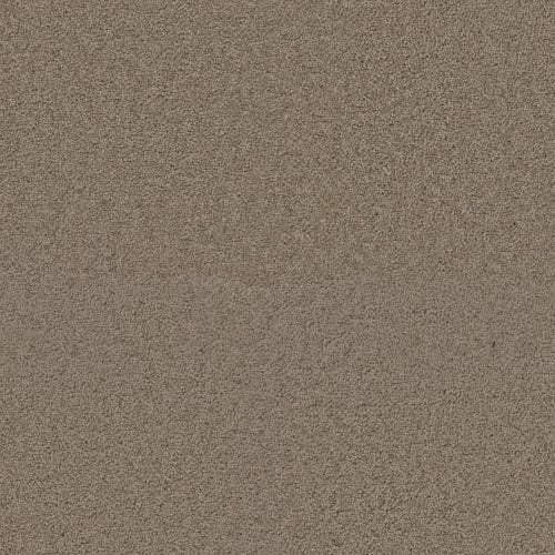 Exceptional Ii - Hazlenut Cream