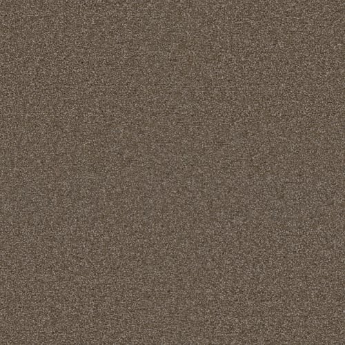 Exceptional Ii - Tumbleweed