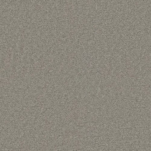 Exceptional Ii - Silver Birch