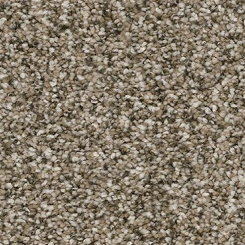 Jackson Hole I - Pebble