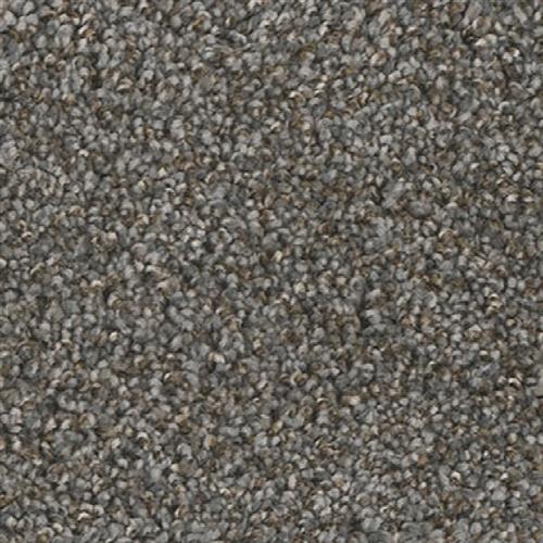 Jackson Hole I - Night Shades