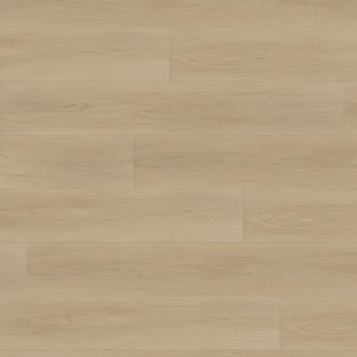 Gallo Xtra - Hermine Xtra