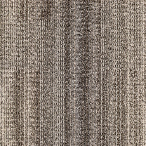 Development - Camel Hair
