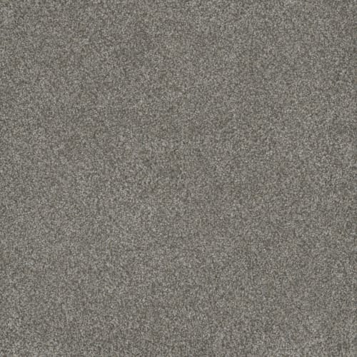 Monte Carlo Iii - Dogwood