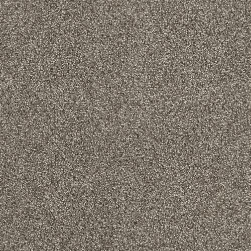 Hollywood - Baltic Birch
