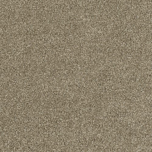 Hollywood - Sienna Sand