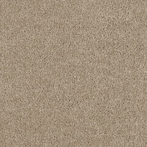 Hollywood - Warm Teak