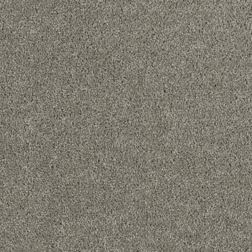 Hollywood - Dark Platinum