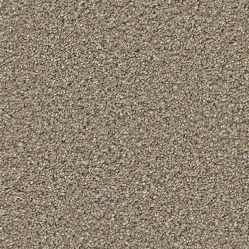 Cosmopolitan Ii - Acorn