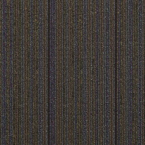 Wired - Magnetize