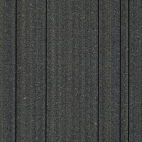 Wired - Startled