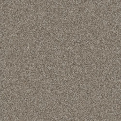 Gold Standard Ii - Alloy