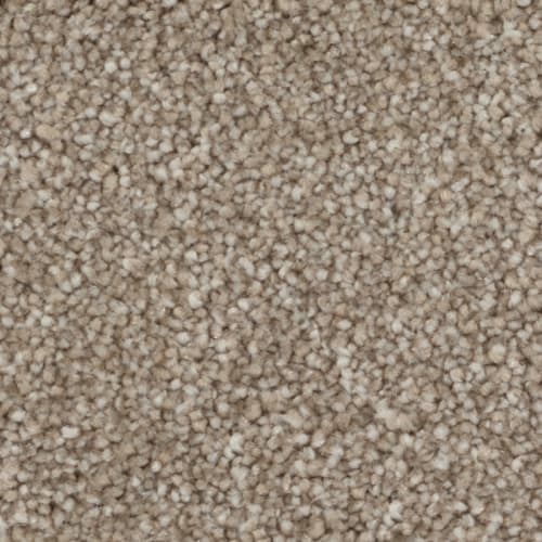 Tryesse Pro - Calm Haven - Arizona Sand
