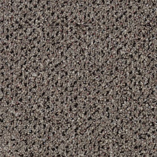 Mainstreet Innofibe - Supplement Ii 20 - Asteroid