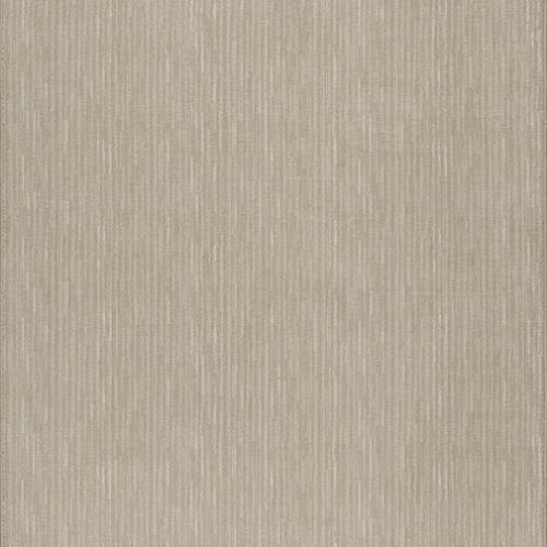 Basis - Canvas