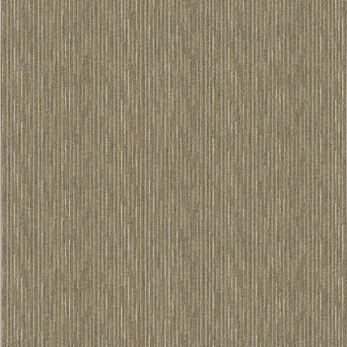 Basis - Chamois