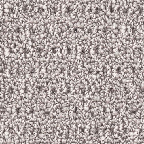 Nyluxe Petguard - Polka Dot - Beach Shell