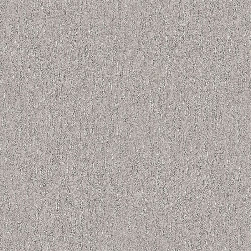 Nyluxe Petguard - Spiderweb - Beach Shell