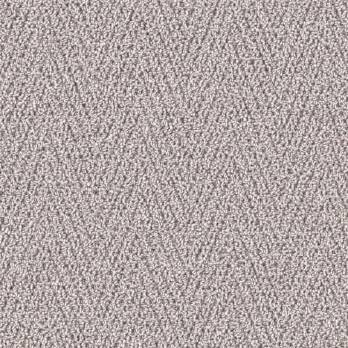 Nyluxe Petguard - Tricot - Beach Shell