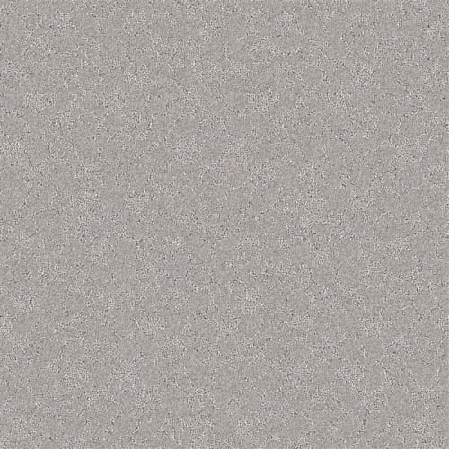 Nyluxe Petguard - Cloudscape - Beach Shell