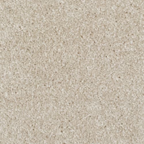 Tryesse - Minotaur - Beach Shell