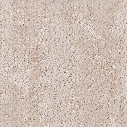 Tryesse Pro - Souvenir From Canada - Beige Clay