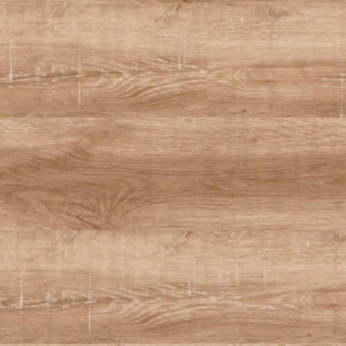Avenue - Beverley Oak
